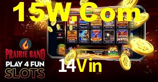 Tournaments 14Vin